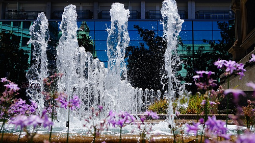 Shine with（シャインウィズ）株式会社